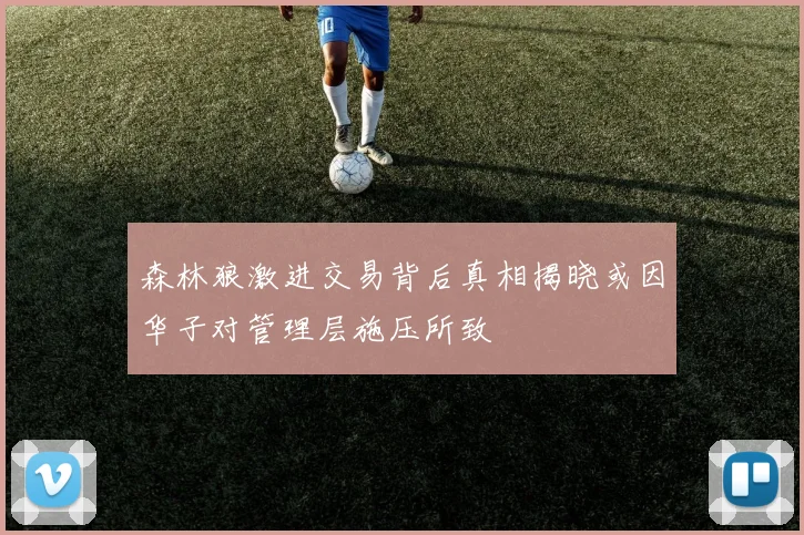 森林狼激进交易背后真相揭晓或因华子对管理层施压所致